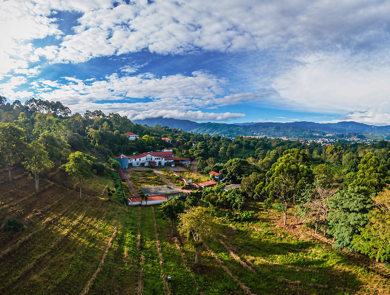 5 Razones para Invertir en un Lote y Construir a tu Medida